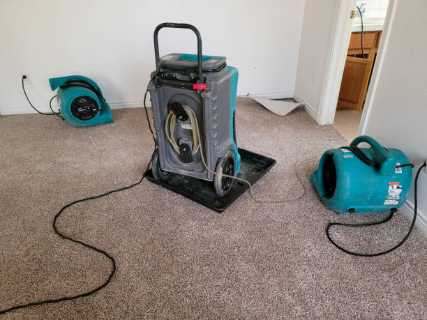 Best Carpet water damage restoration  in Monongahela, PA
