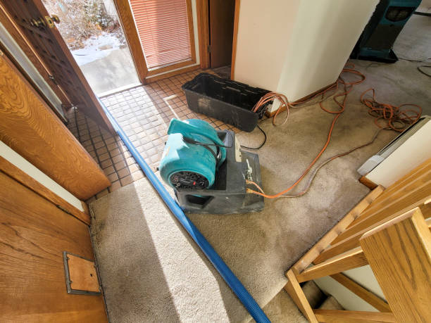 Best Sewage cleanup and water damage restoration  in Monongahela, PA