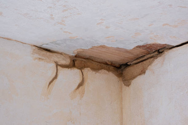 Best Sewage cleanup and water damage restoration  in Monongahela, PA