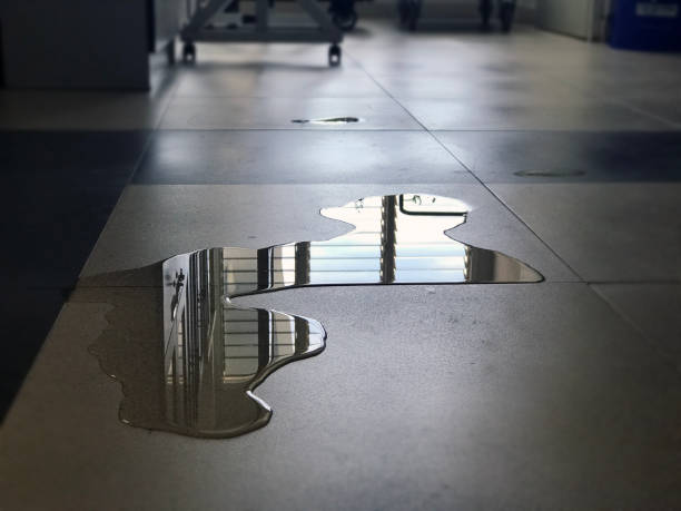 Best Water damage restoration process  in Monongahela, PA