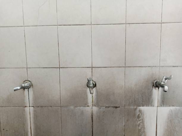 Best 24-hour water damage restoration  in Monongahela, PA