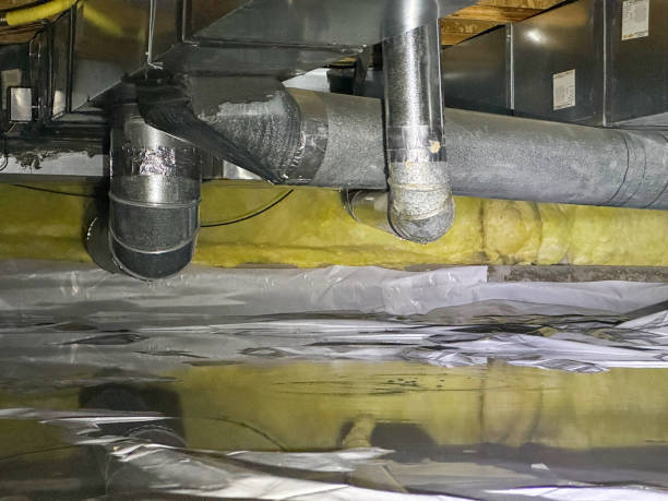 Best Water damage restoration near me  in Monongahela, PA