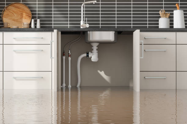 Best Flood damage cleanup  in Monongahela, PA