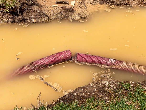 Best Emergency water extraction  in Monongahela, PA
