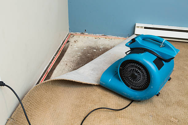 Best Residential water damage restoration  in Monongahela, PA