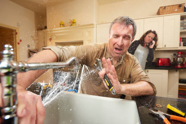 Best Water damage contractors near me  in Monongahela, PA